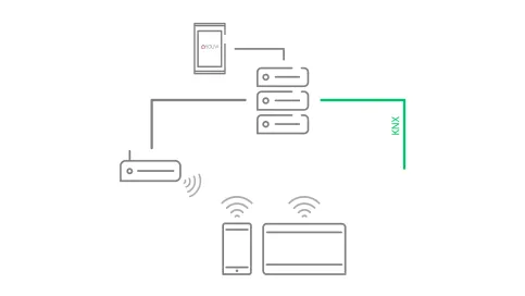 Als Client-Lösung mit externem Server & IP-Router