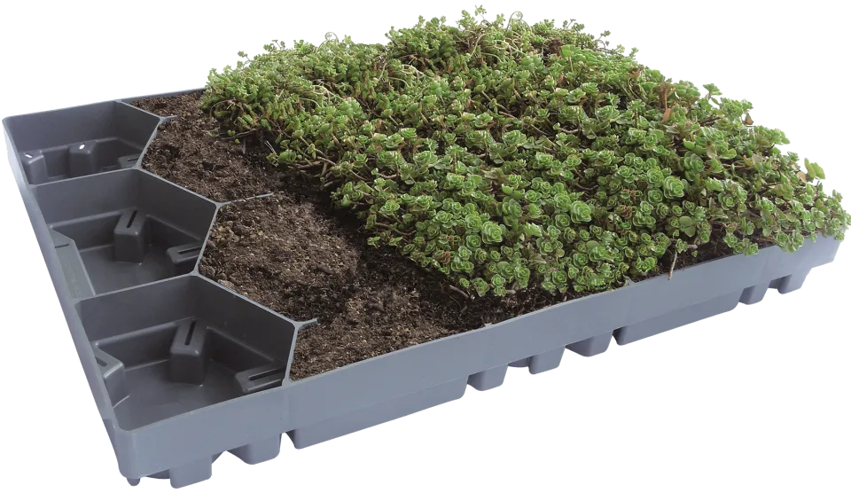 ECOgreen PACK LIGHT begrünt