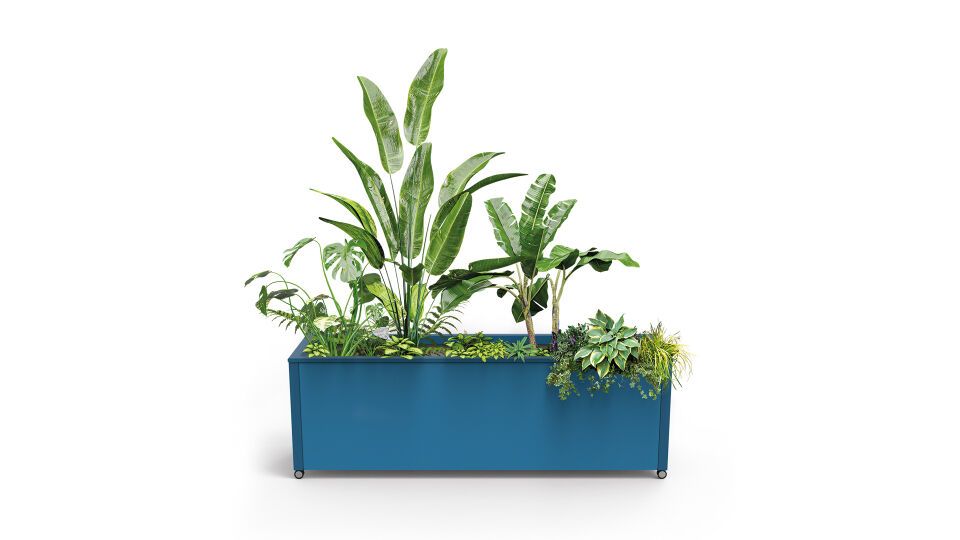 Abel Begrünungssystem PLANT VERDIS