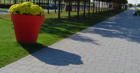 GEHWEGPLATTE naturgrau