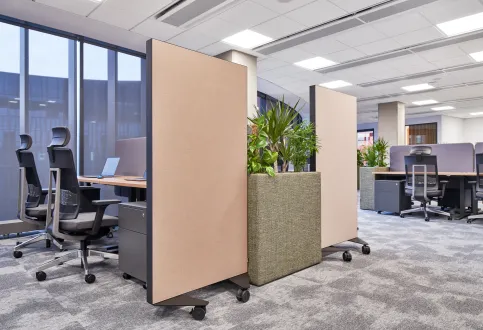 Rockfon Canva® Standabsorber