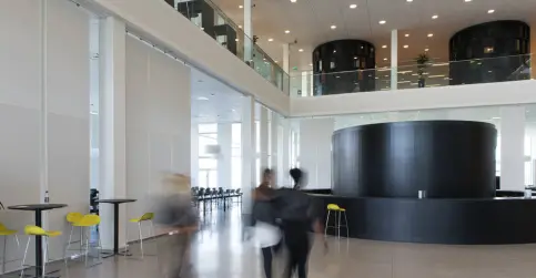 Campus Roskilde, Rockfon VertiQ®, A24, 2700 x 1200