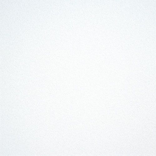 OWAcoustic Bolero