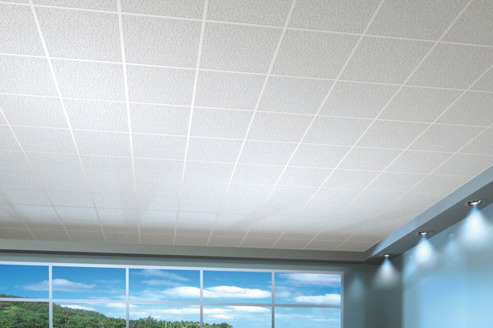 OWAcoustic Harmony premium
