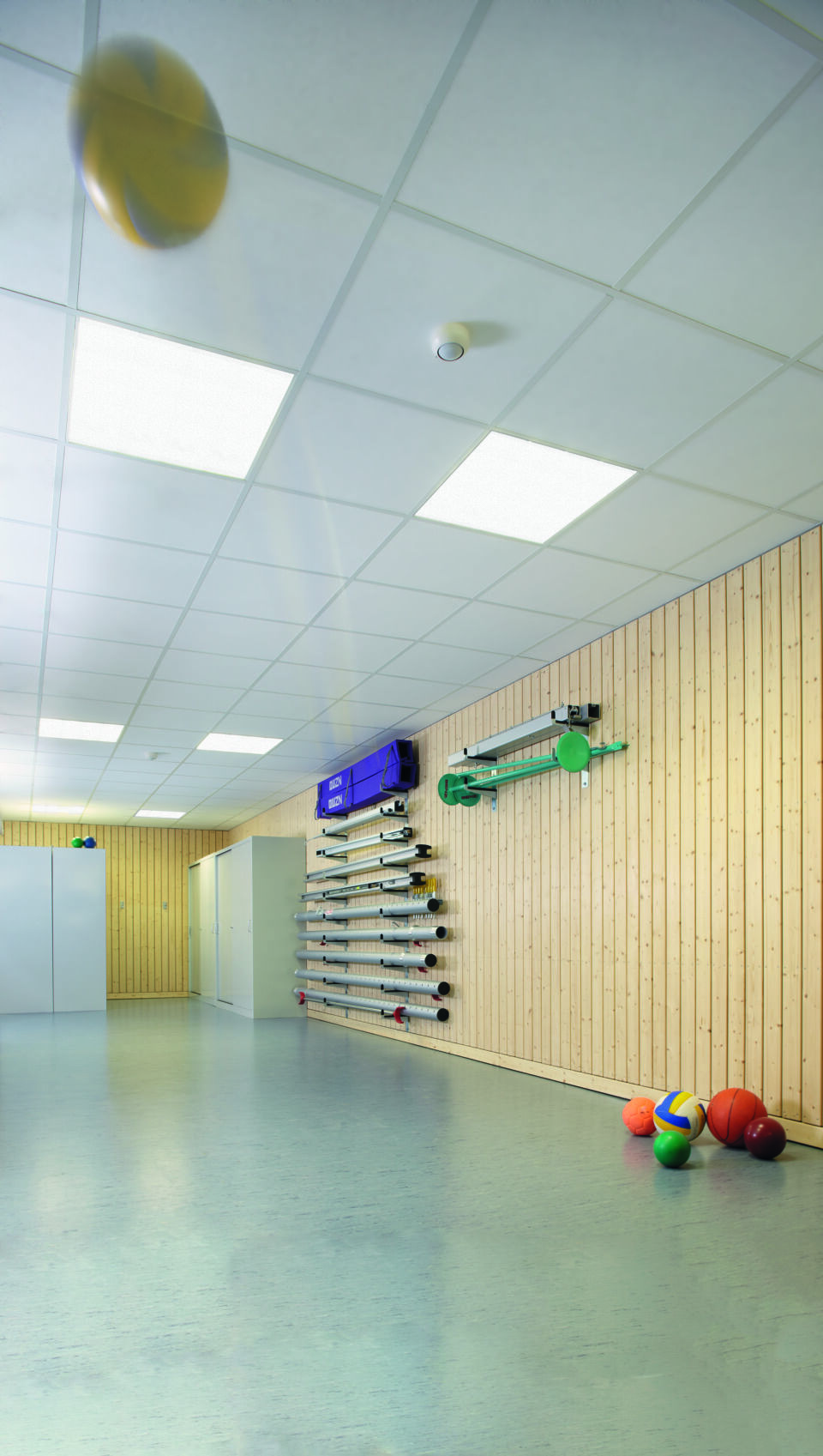 OWAcoustic Sinfonia sports