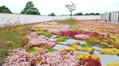 Gründach, © Optigrün International AG & GEOMATERIALS