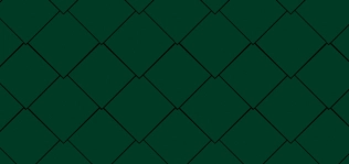 06 Moosgrün (ähnlich RAL 6005), Oberfläche P.10