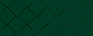 06 Moosgrün (ähnlich RAL 6005), Oberfläche P.10