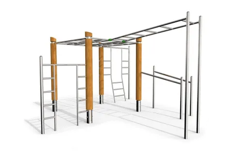 Calisthenics Robinie