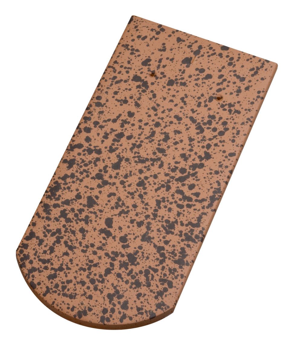 Süddeutscher Biber Biberschwanzziegel