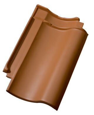 Hohlfalzziegel Z5 variwell Fledermausgaubenziegel