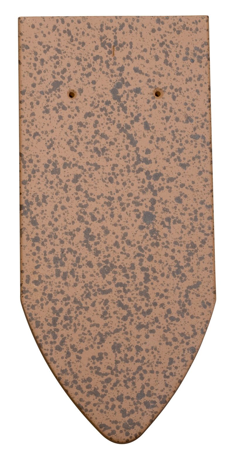 Süddeutscher Biber Biberschwanzziegel