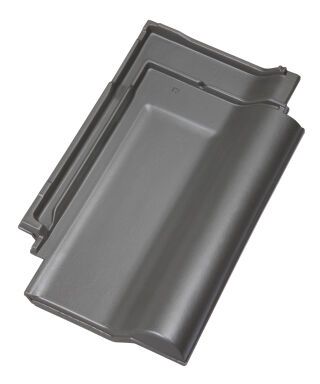 J13V ALTSCHWARZ