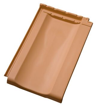 Z10 NATURROT