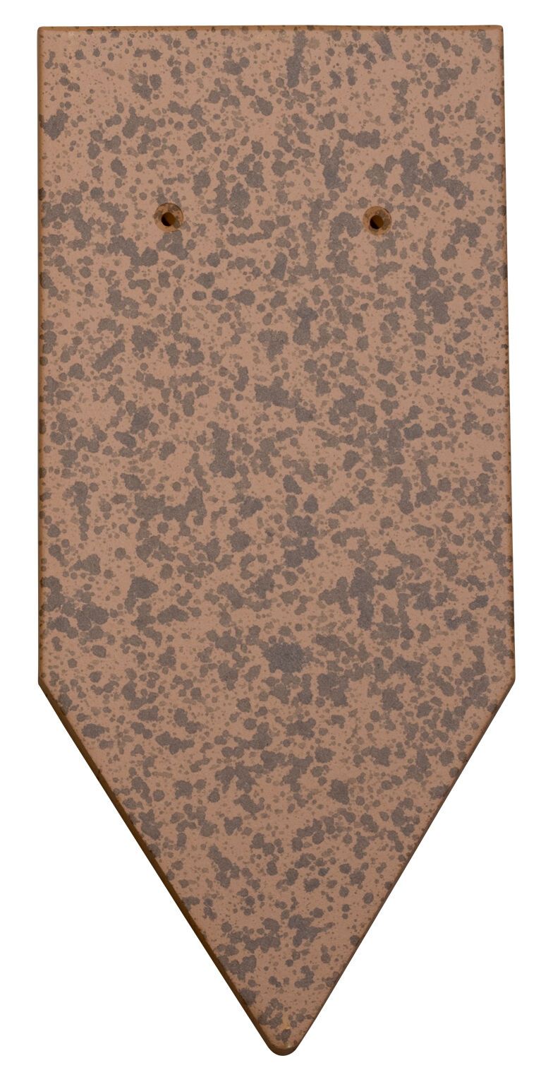 Süddeutscher Biber Biberschwanzziegel