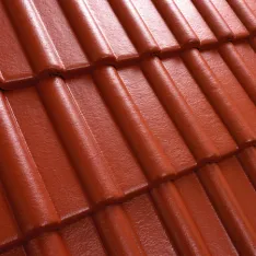 Terracotta, Candor