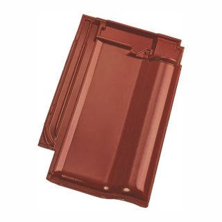 Alegra 10 Flächenziegel Sturmfix edelkastanie
