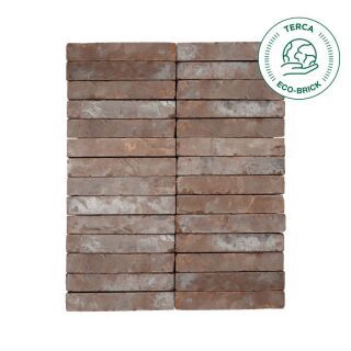 Terca Jaran Strangpress Vormauerziegel Eco-brick®