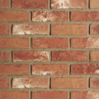 Terca Blauwrood Handform Vormauerziegel