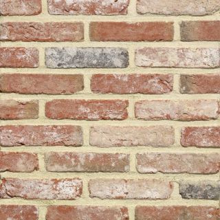 Terca Oud Veldsteen Handform geschnittene Riemchen