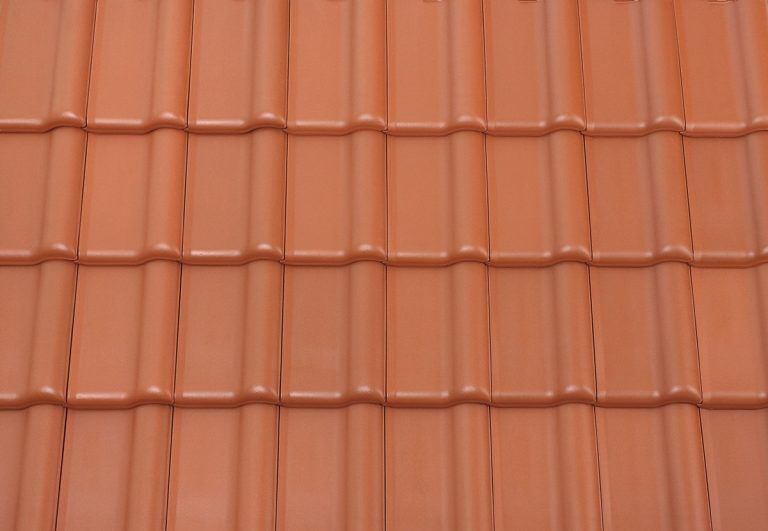 Alegra 10 Flächenziegel Sturmfix naturrot