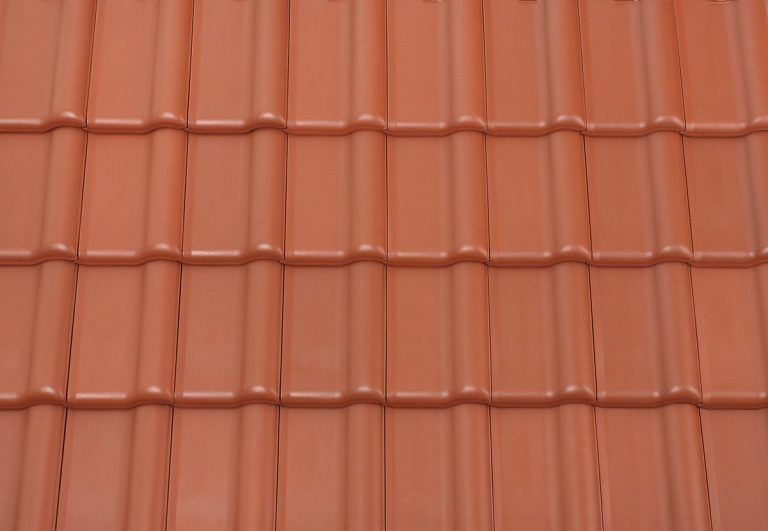 Koramic Alegra 10 E Flachdachziegel