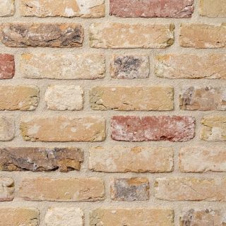 Terca Oud Torhout Handform geschnittene Riemchen