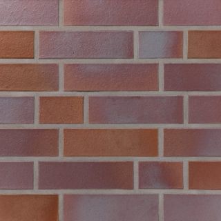 Terca Dara Strangpress geschnittene Riemchen 