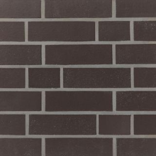 Terca S1 Strangpress geschnittene Riemchen 
