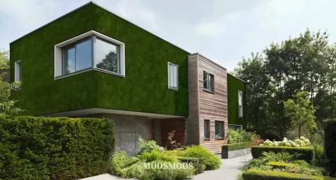 MOOSMOOS Greenovation, Einfamilienhaus - Fassadenbegrünungen