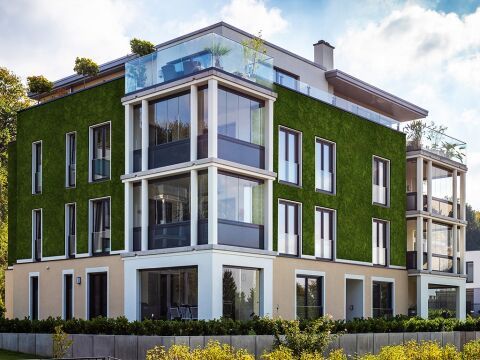 Pflegefreie Fassadenbegrünung für nachhaltige Architektur