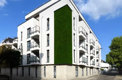 Echtes Moos an Gebäude - Fassadenbegrünungen