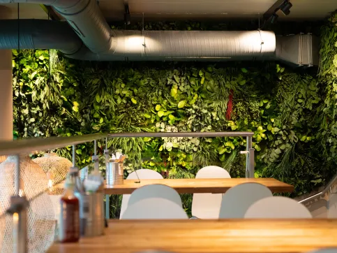 Dschungelwand Thai-Fresh Cuisine, München - Innenbegrünung
