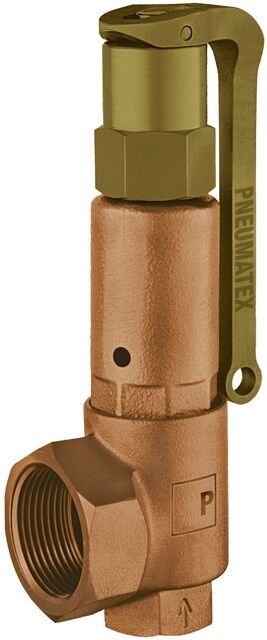 IMI PNEUMATEX Sicherheitsventil DSV25-10 DGH, Rotguss