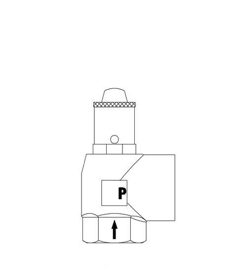 IMI PNEUMATEX Sicherheitsventil DSV 20-3,0 H, Rotguss