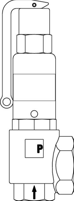 IMI PNEUMATEX Sicherheitsventil DSV25-10 DGH, Rotguss