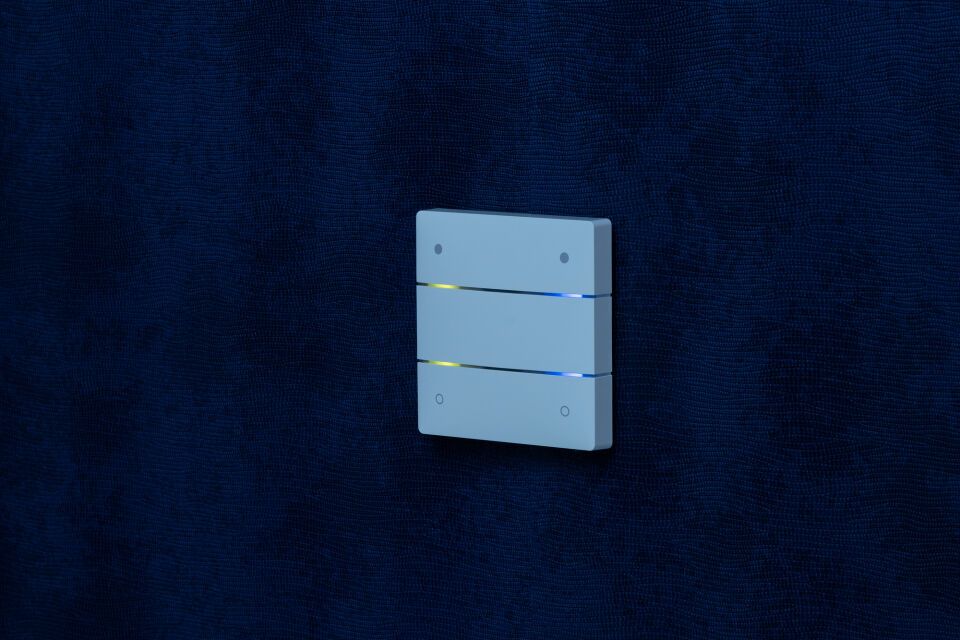 Theben KNX Tastsensor iON 102/104 KNX