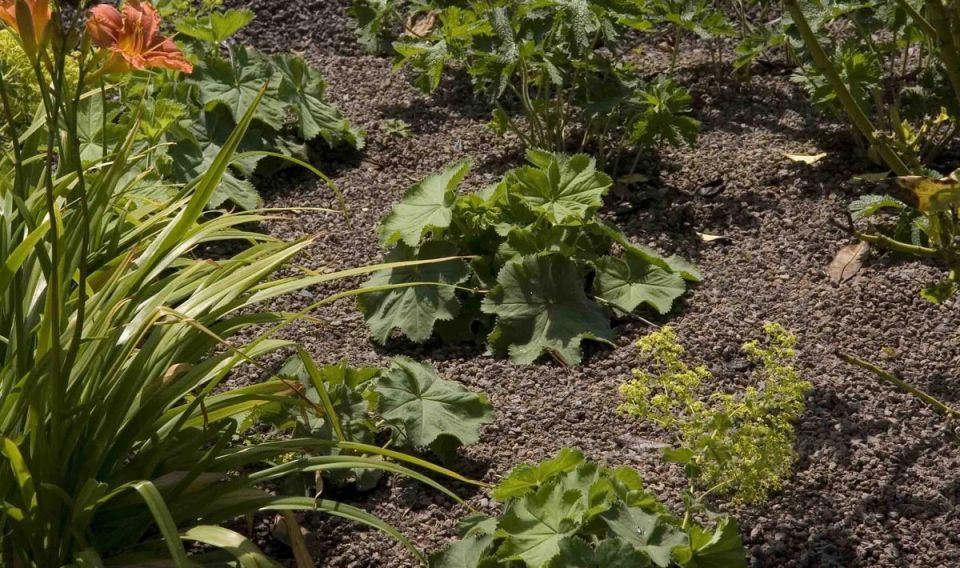 KANN GardenProtect Pflanzsubstrat