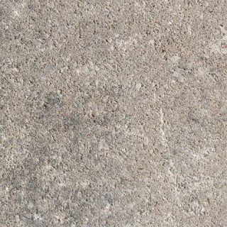 La Tierra Aqua 8 cm WV Muschelkalk-nuanciert