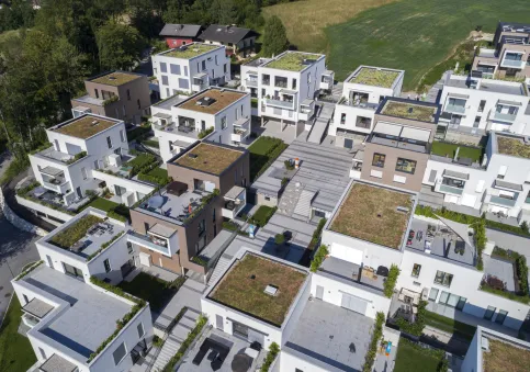 Gründach Wohnsiedlung in Österreich