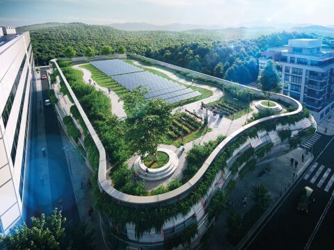 Für visionäre Architekten: Grüne Dächer brauchen nachhaltige Grundlagen
